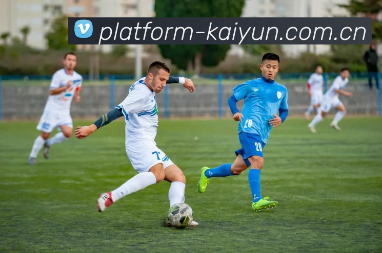 开云平台生态图